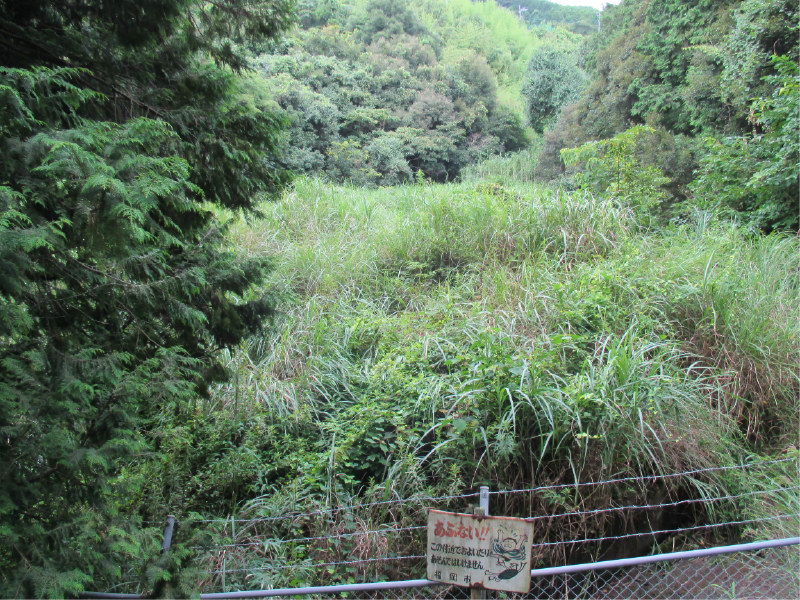 登尾池の画像