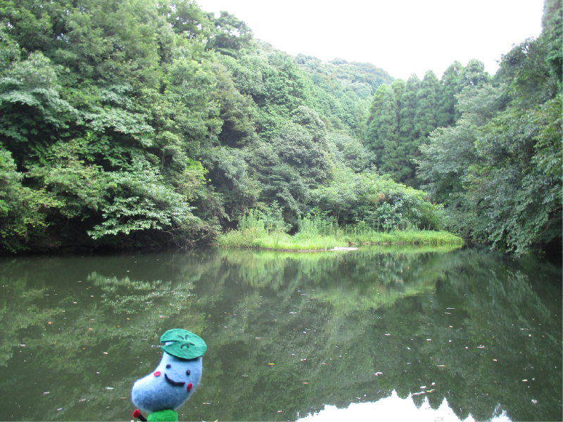 糠塚池の画像