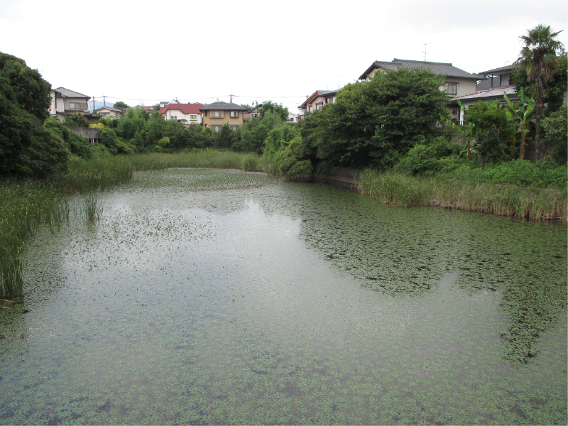 大戸池の画像