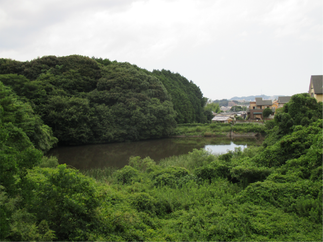 新池の画像