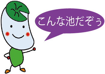 こんな池だぞぅ