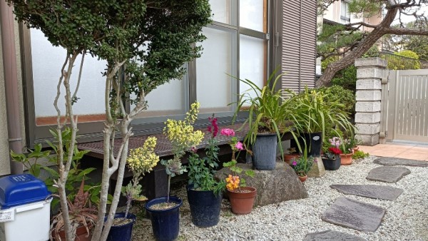 R.Y.花壇　2