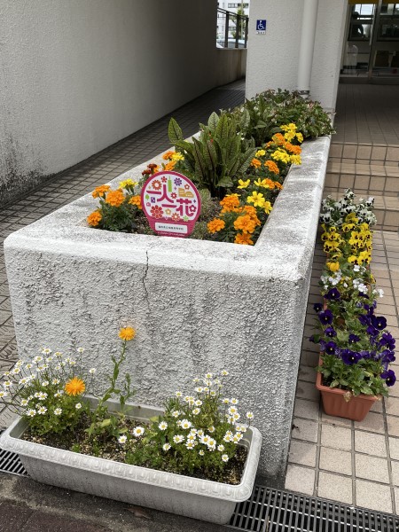 柏陵高校　1