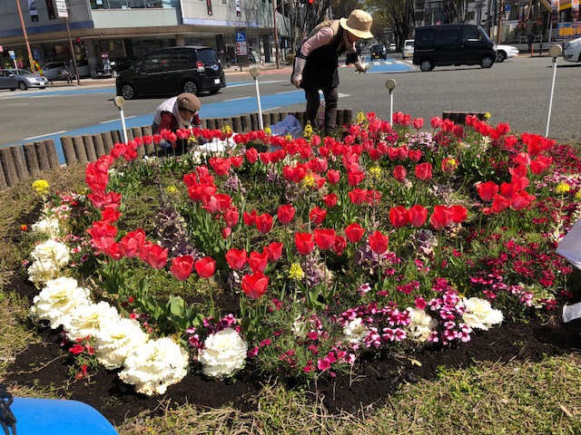 地域に花を咲かせよう会さんの花壇