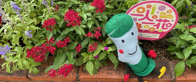 南区「一人一花（ひとりひとはな）」運動のタイトル画像