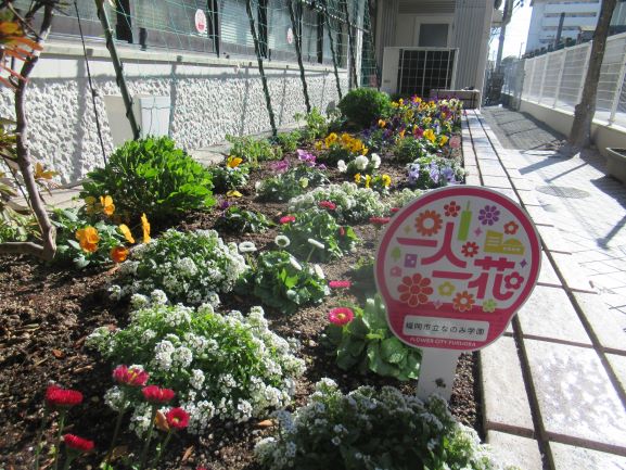 なのみ学園２