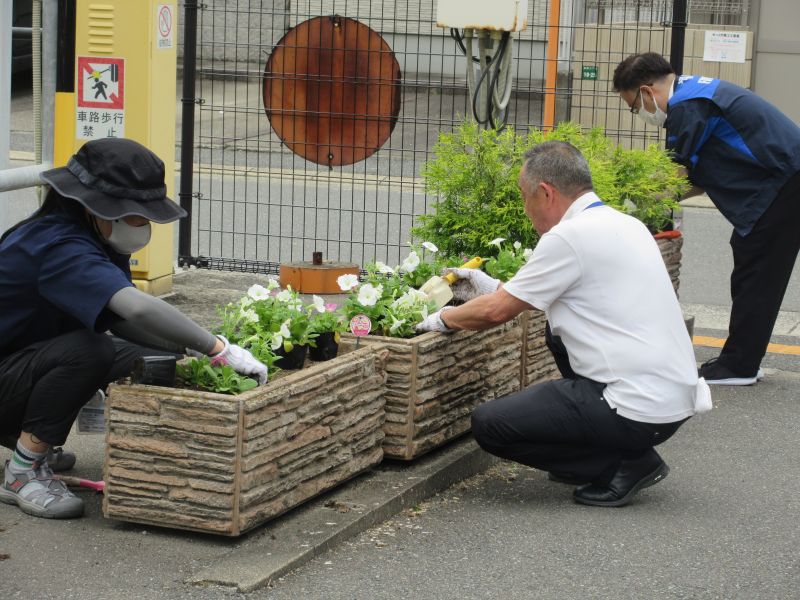 区役所の花壇の植え替えの様子4の2