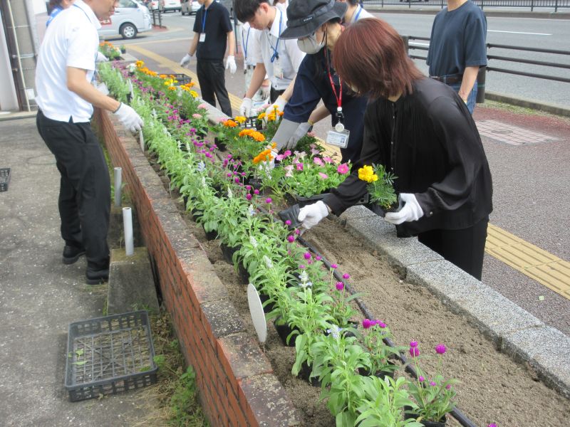 区役所の花壇の植え替えの様子4の1