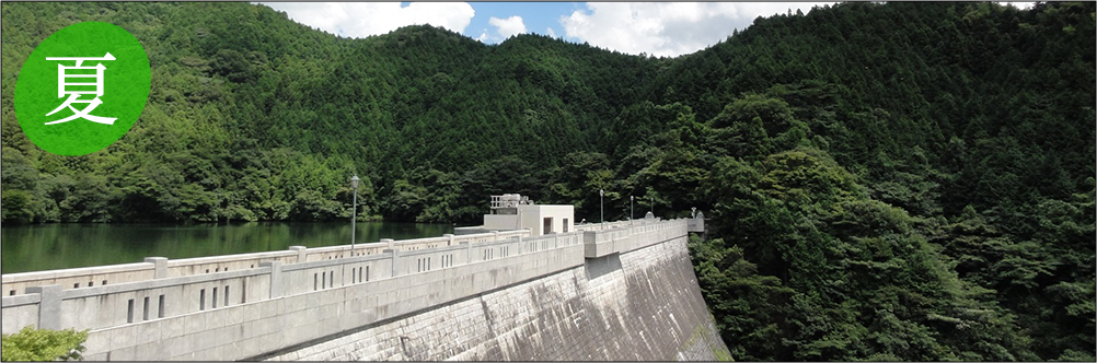 夏の景色