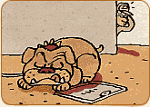 犬とメーター