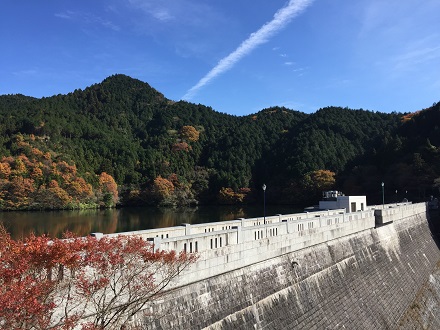 曲渕ダム
