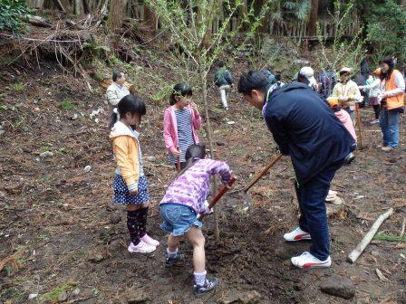 ダム周辺の水源かん養林での植樹の様子
