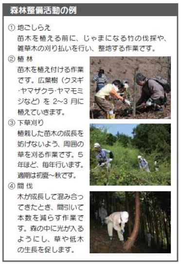 森林整備活動例の紹介