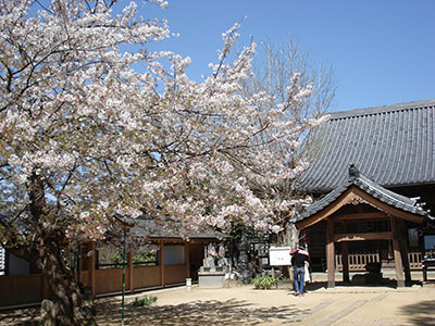 写真：観音寺