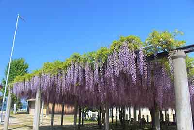 画像：今宿・周船寺