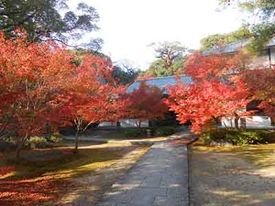 画像：寺社