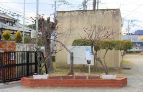ツイジ遺跡