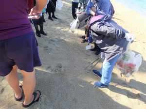 小さなプラスチックごみを観察