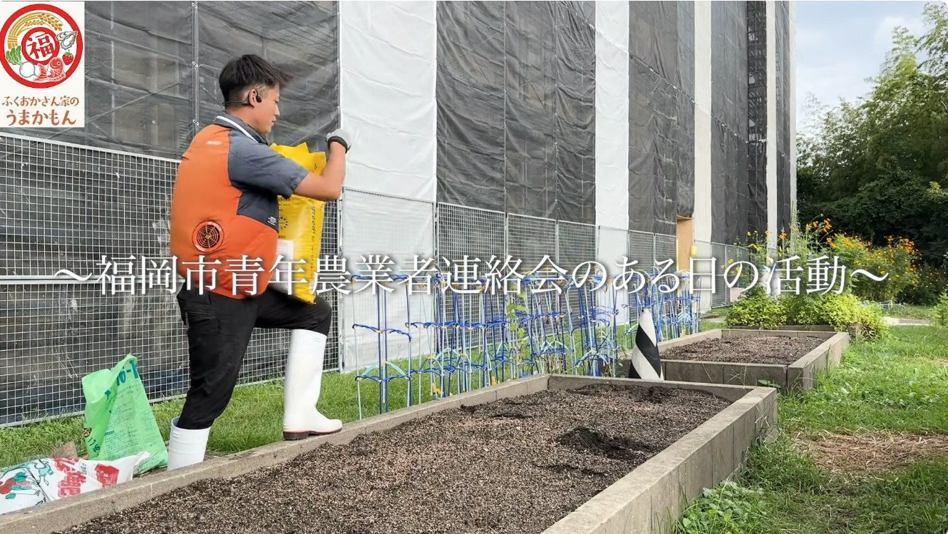 学童菜園の様子
