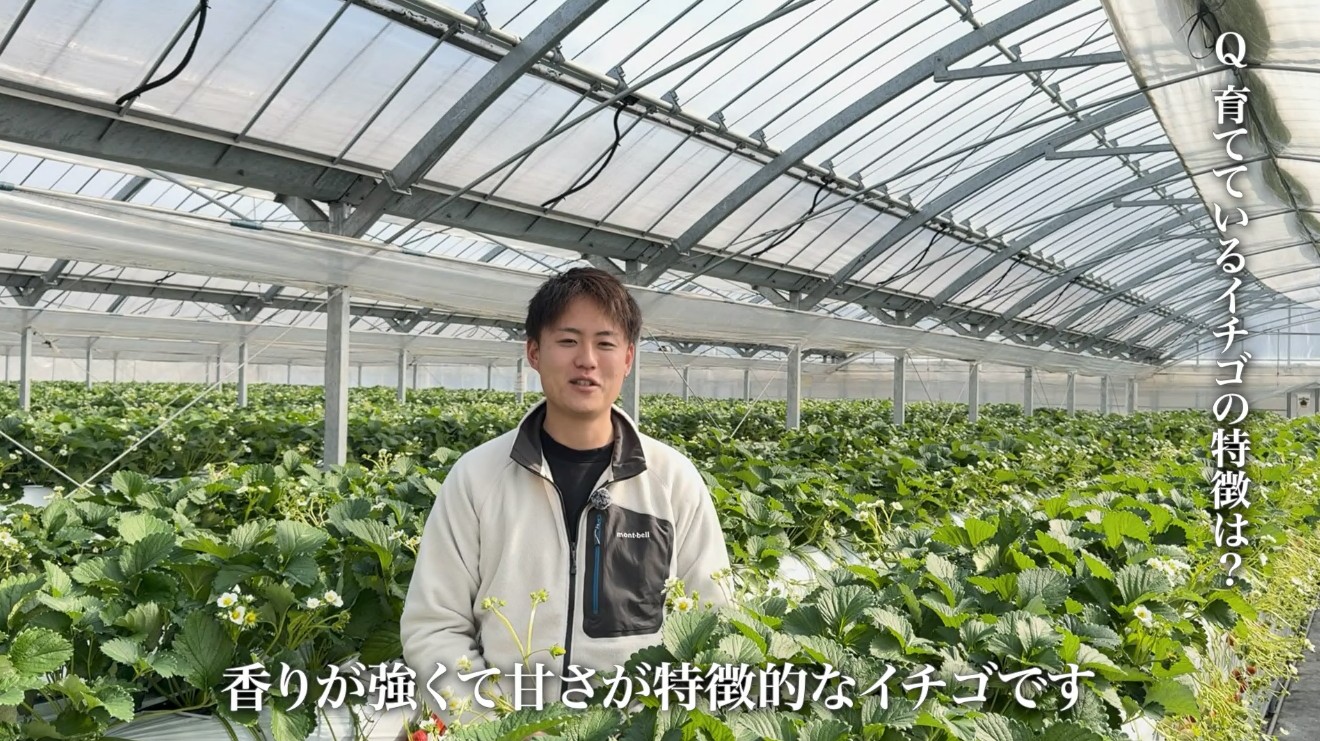 会員インタビューの様子