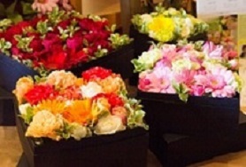 箱花の写真