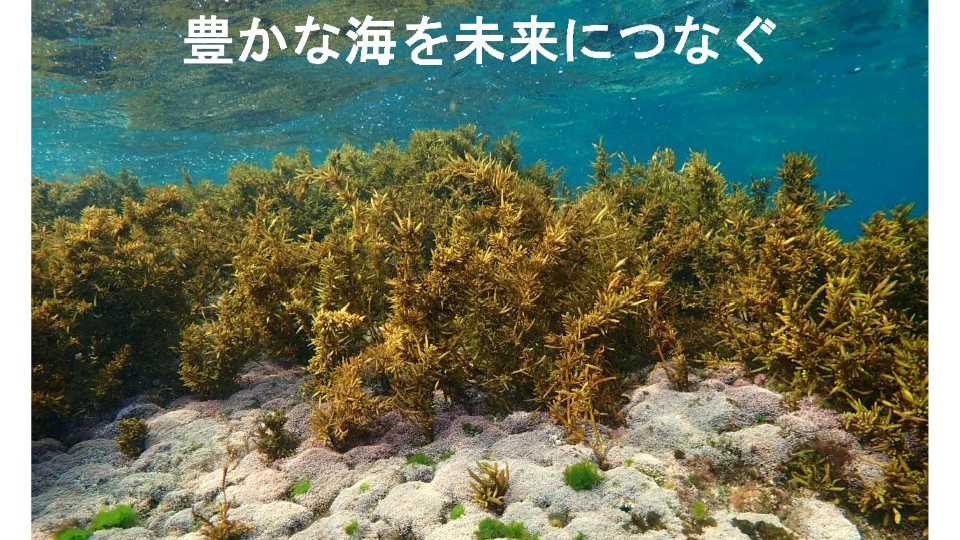 豊かな海を未来につなぐ