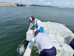 種苗放流の様子