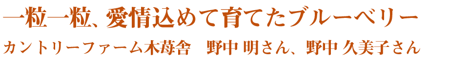 一粒一粒、愛情込めて育てたブルーベリー　カントリーファーム木苺舎　野中 明さん、野中 久美子さん