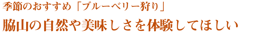 季節のおすすめ「ブルーベリー狩り」　脇山の自然や美味しさを体験してほしい