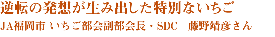 逆転の発想が生み出した特別ないちご JA福岡市　いちご部会副部会長・SDC　藤野靖彦さん