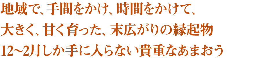 地域で、手間をかけ、時間をかけて、大きく、甘く育った、末広がりの縁起物12~2月しか手に入らない貴重なあまおう