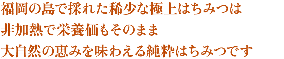 福岡の島で採れた稀少な極上はちみつは非加熱で栄養価もそのまま大自然の恵みを味わえる純粋はちみつです