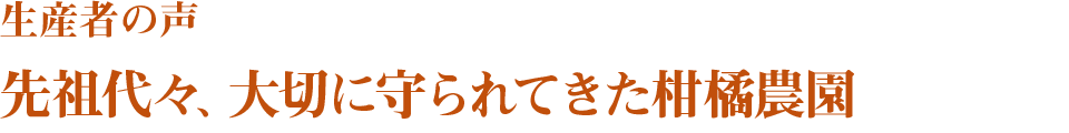 生産者の声 先祖代々、大切に守られてきた柑橘農園