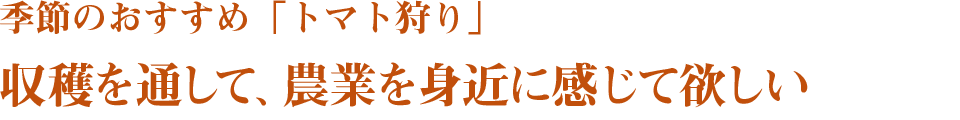 季節のおすすめ「トマト狩り」　収穫を通して、農業を身近に感じて欲しい