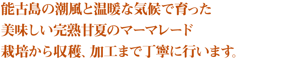 能古島の潮風と温暖な気候で育った美味しい完熟甘夏のマーマレード　栽培から収穫、加工まで丁寧に行います。