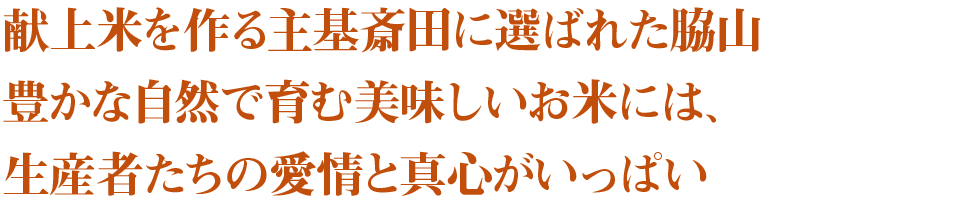 献上米を作る主基斎田に選ばれた脇山 豊かな自然で育む美味しいお米には、生産者たちの愛情と真心がいっぱい