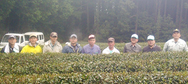 写真：紅茶畑と生産者のみなさん