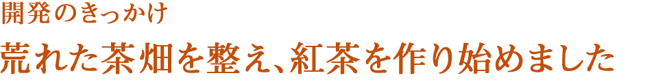 開発のきっかけ　荒れた茶畑を一から整え、紅茶を作り始めました。