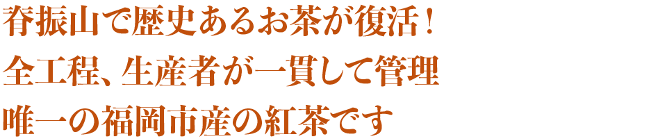 背振山で歴史あるお茶が復活！全工程、生産者が一貫して管理 唯一の福岡市産の紅茶です