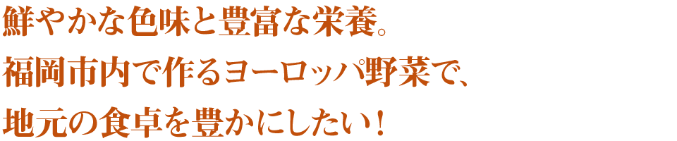 鮮やかな色味と豊富な栄養。福岡市内で作るヨーロッパ野菜で、地元の食卓を豊かにしたい！