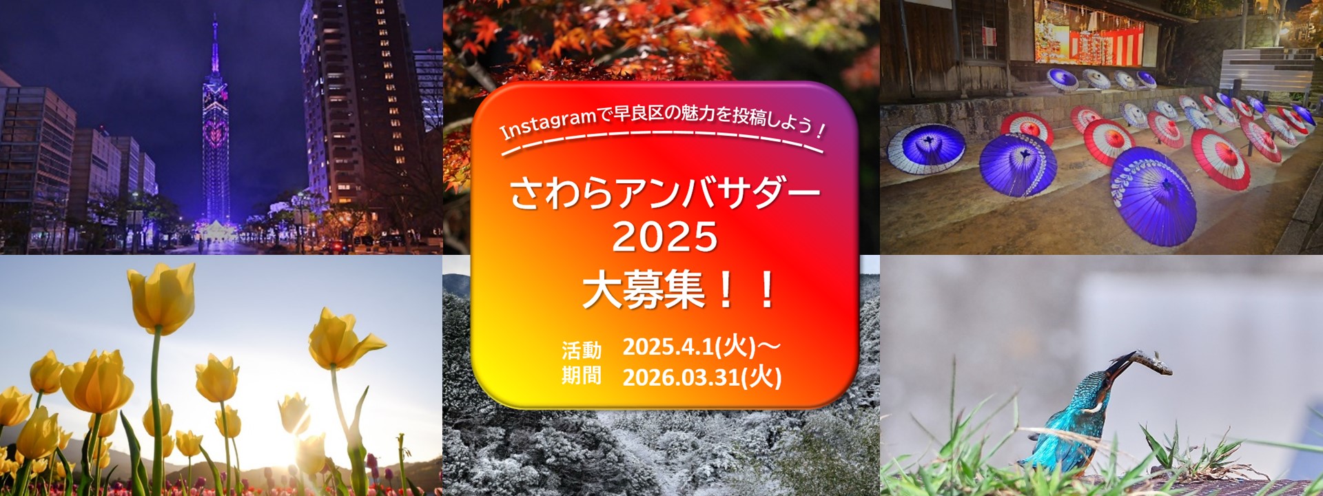 さわらアンバサダー2025
