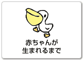 赤ちゃんが生まれるまでへ