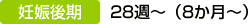 妊娠後期　28週～（8か月～） 