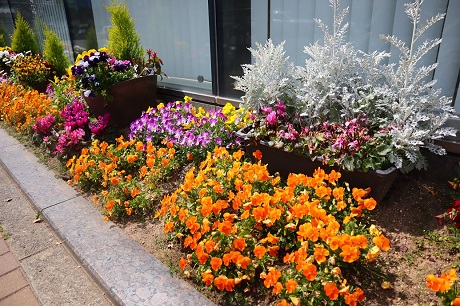 花壇の写真1
