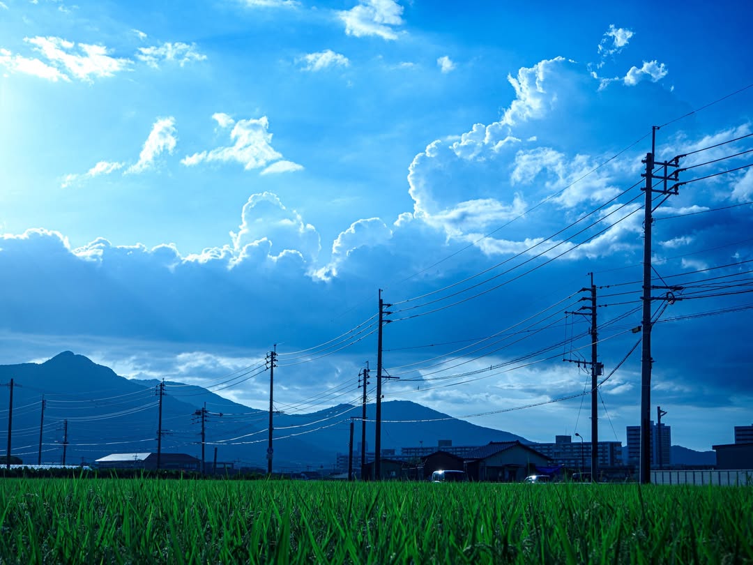フォトモザイクアート応募写真 田んぼと青空