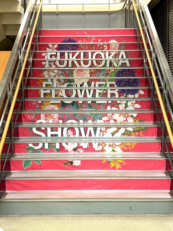 令和７年度早良区役所階段アート