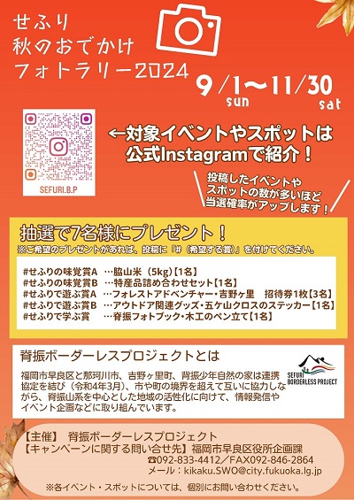 チラシ裏面