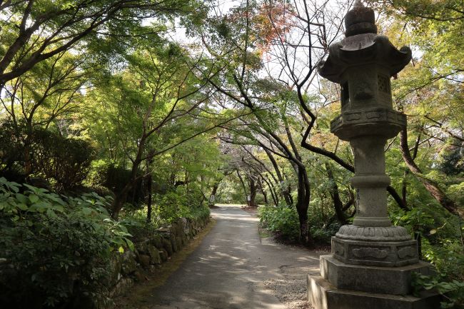 徳栄寺