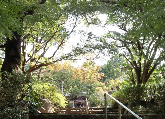 徳栄寺内