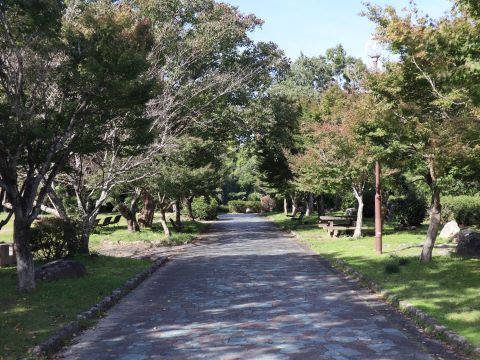 脇山中央公園通路